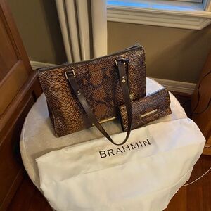 Brahmin Vibrant black and brown Snake Embossed Tote with matching wallet